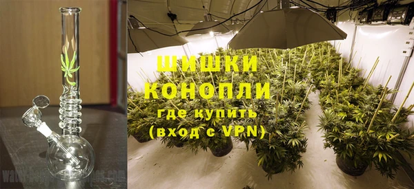 шишки Бугульма