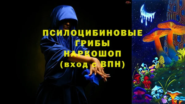 гашик Верхний Тагил